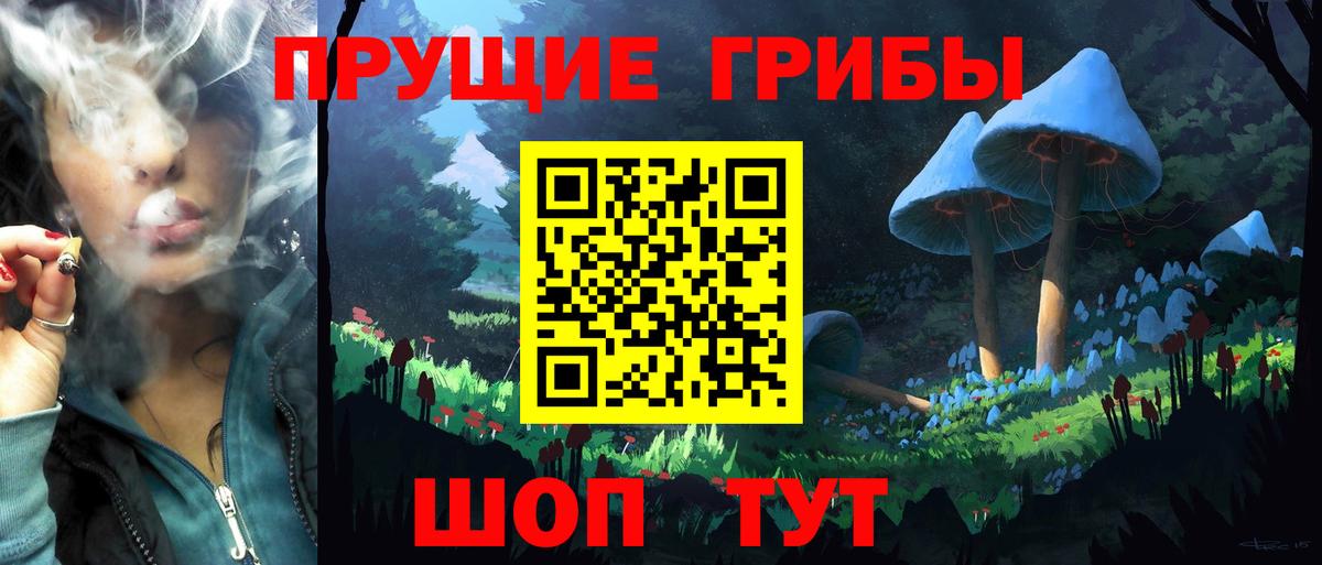Галлюциногенные грибы Cubensis Заинск