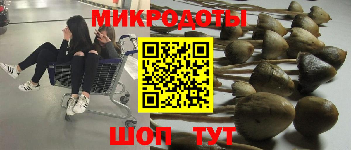 Псилоцибиновые грибы Psilocybine cubensis  Вход с VPN  Галлюциногенные грибы Magic Shrooms  Заинск 